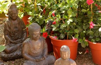 Makeup and Beauty Blog Monday Poll, Vol. 878